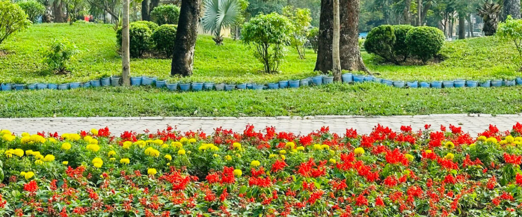 Cảnh đẹp tại tphcm