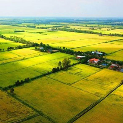 mua bán đất đai