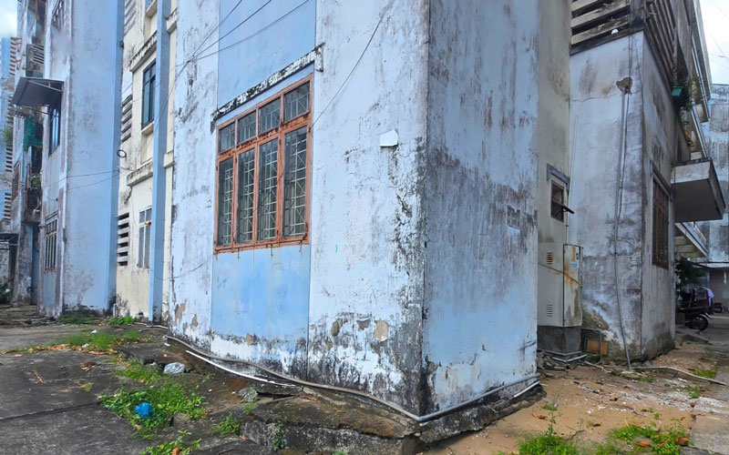 Dịch vụ lăn sơn nước